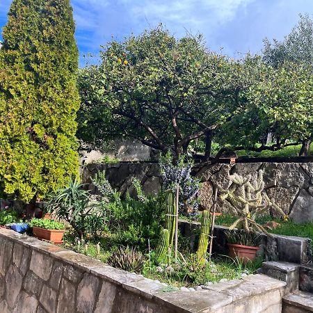 Apartments Cvjetkovic Mlini Kültér fotó