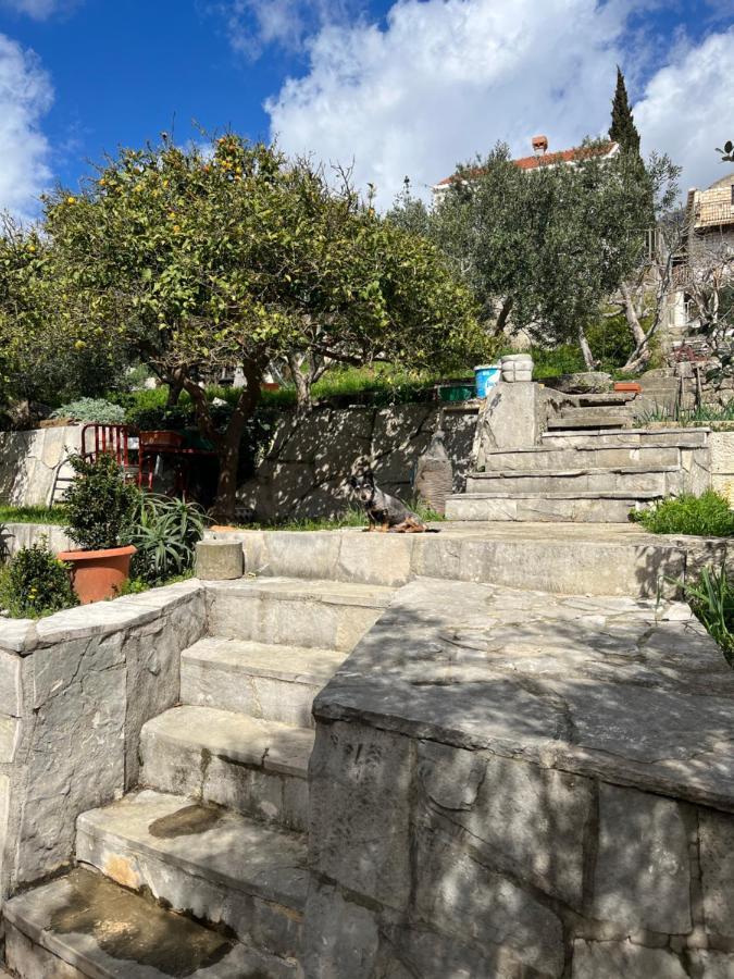 Apartments Cvjetkovic Mlini Kültér fotó
