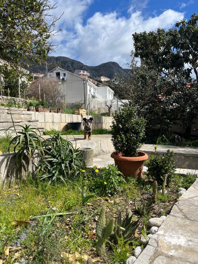 Apartments Cvjetkovic Mlini Kültér fotó